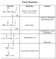 Autosomal Recessive Inheritance Lactose Metabolism Is Blocked