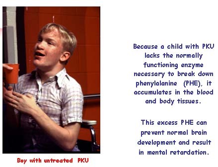 Autosomal Recessive Inheritance Lactose Metabolism Is Blocked