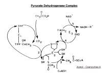 Autosomal Recessive Inheritance Lactose Metabolism Is Blocked