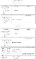 Autosomal Recessive Inheritance Lactose Metabolism Is Blocked