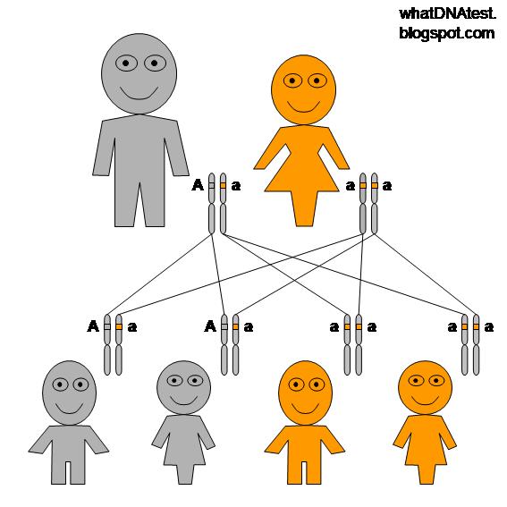 Autosomal Recessive Inheritance Pattern