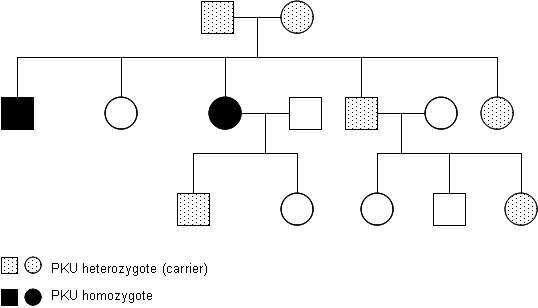 Autosomal Recessive Inheritance Percentage