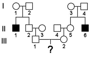 Autosomal Recessive Inheritance Probability