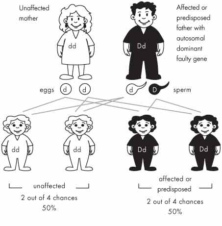 Autosomal Recessive Pattern Of Inheritance