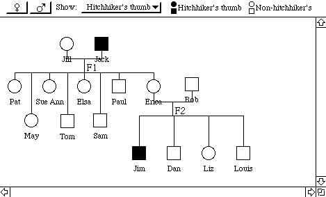 Autosomal Recessive Traits Can Skip Generations