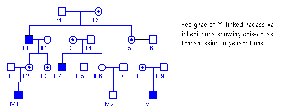 Autosomal Recessive Traits Can Skip Generations