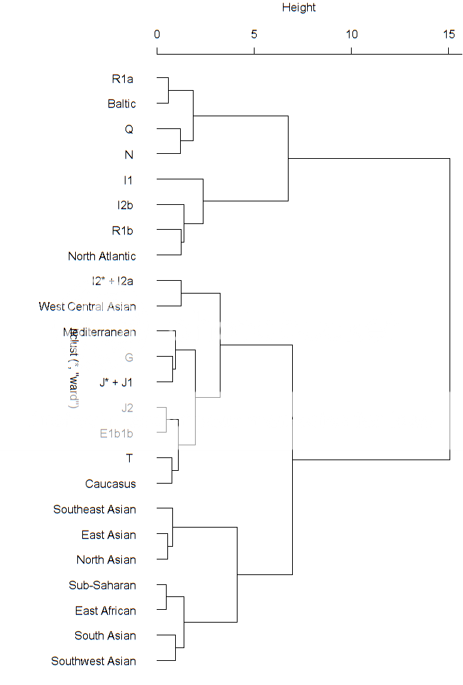 Autosomes Vs Chromosomes