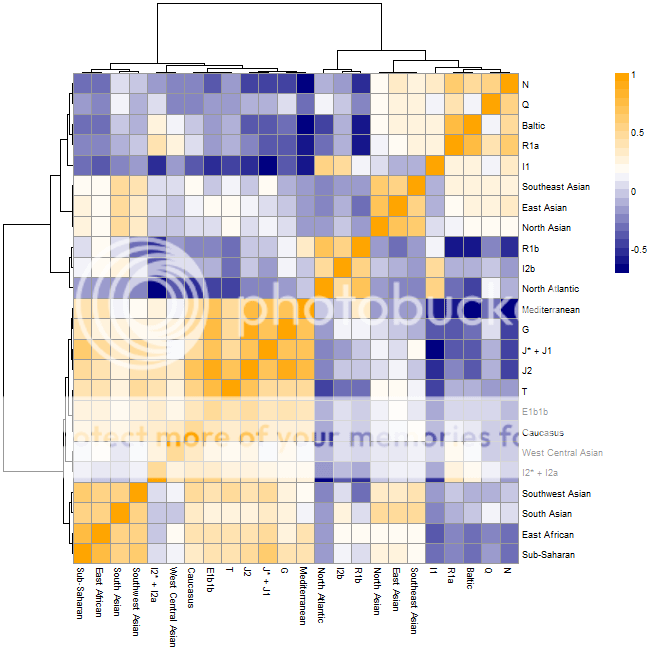 Autosomes Vs Chromosomes