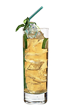 Bacardi Limon Recipes