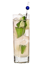 Bacardi Limon Vodka