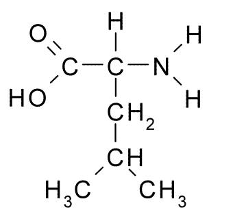 Bcaas Side Effects