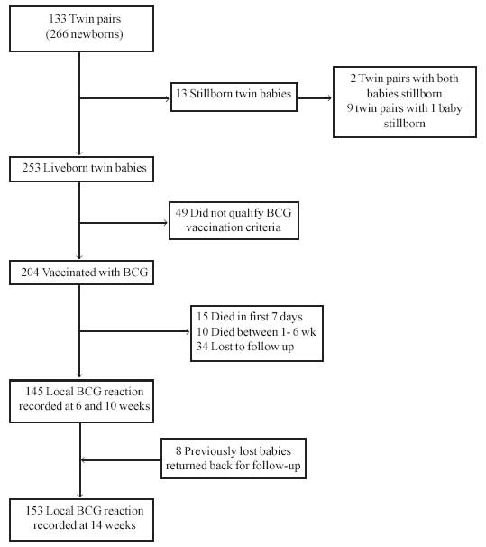 Bcg Injection Site Infection