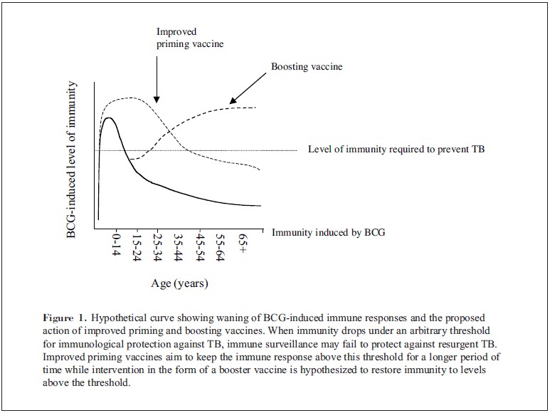 Bcg Vaccine Reaction Newborn