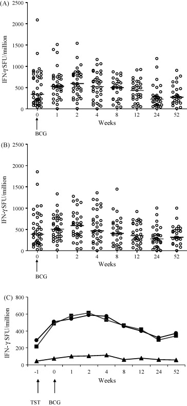 Bcg Vaccine Side Effects Children