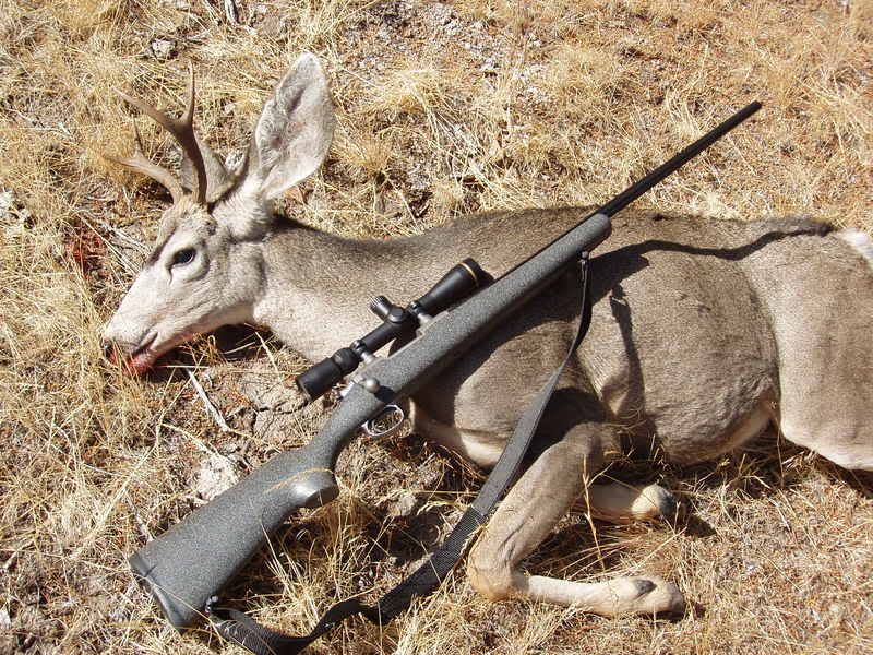 Best Deer Hunting Rifle