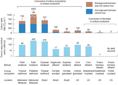 Biodiesel Feedstock Comparison