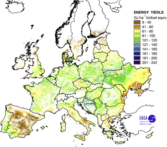 Biodiesel Feedstock Yields