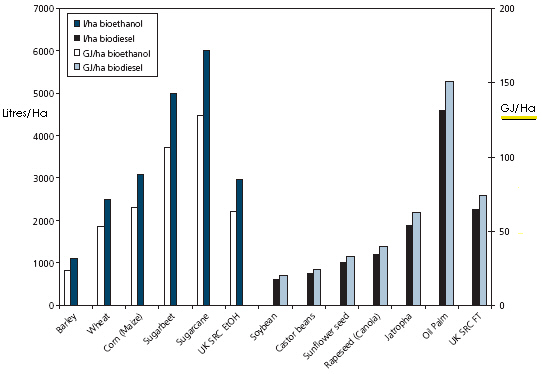 Biodiesel Feedstock Yields