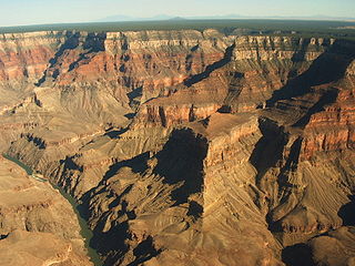 Biological Weathering Definition