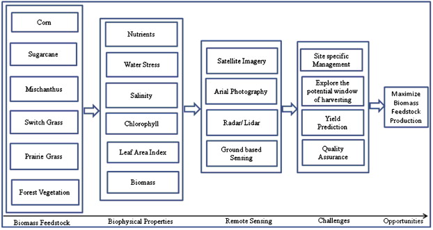 Biomass Feedstock