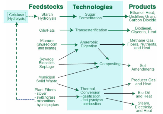 Biomass Feedstock Definition