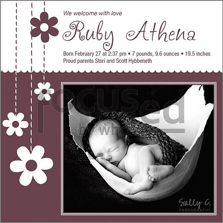 Birth Announcement Templates For Photographers