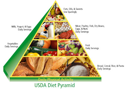 Blank Healthy Living Pyramid