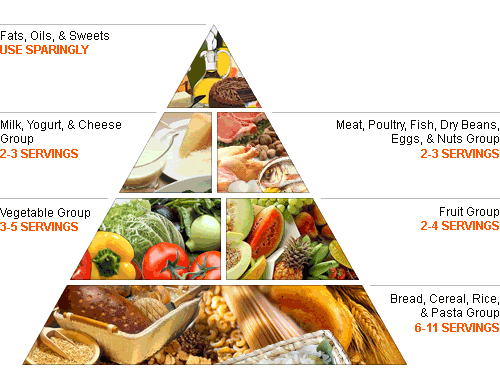 Blank Healthy Living Pyramid