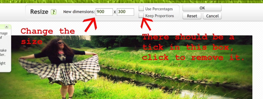 Blogger Header Dimensions