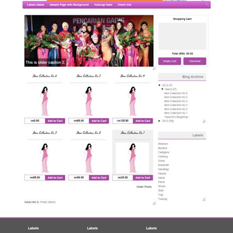 Blogshop Template