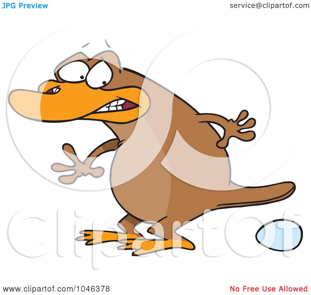 Blue Platypus Cartoon