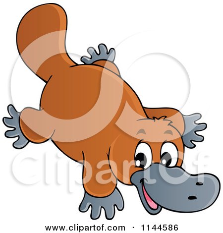 Blue Platypus Cartoon