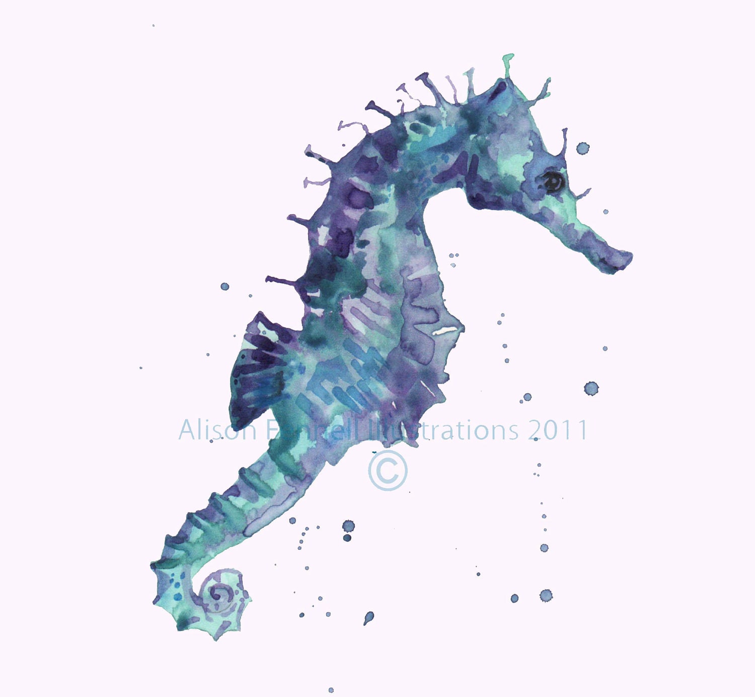 Blue Seahorse Pictures