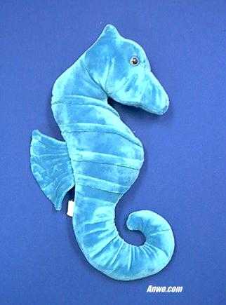 Blue Seahorse Pictures