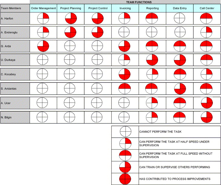 Board Skills Matrix