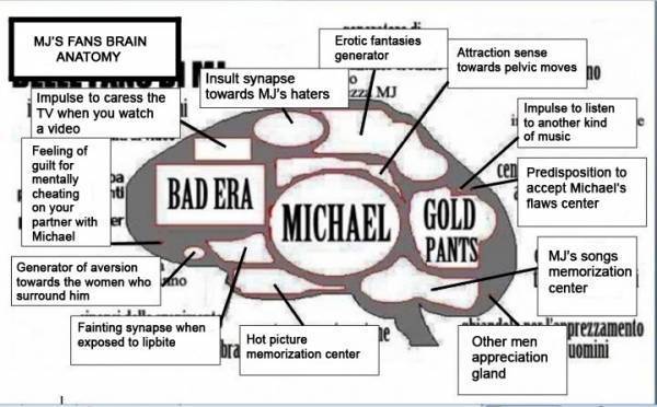 Brain Anatomy Quizzes