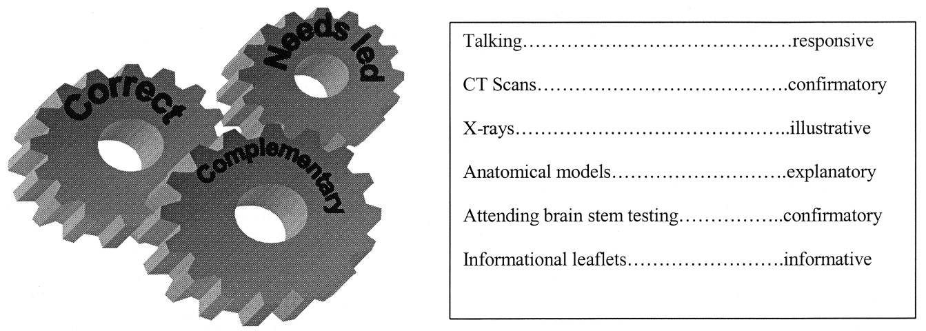 Brain Stem Anatomy Ppt