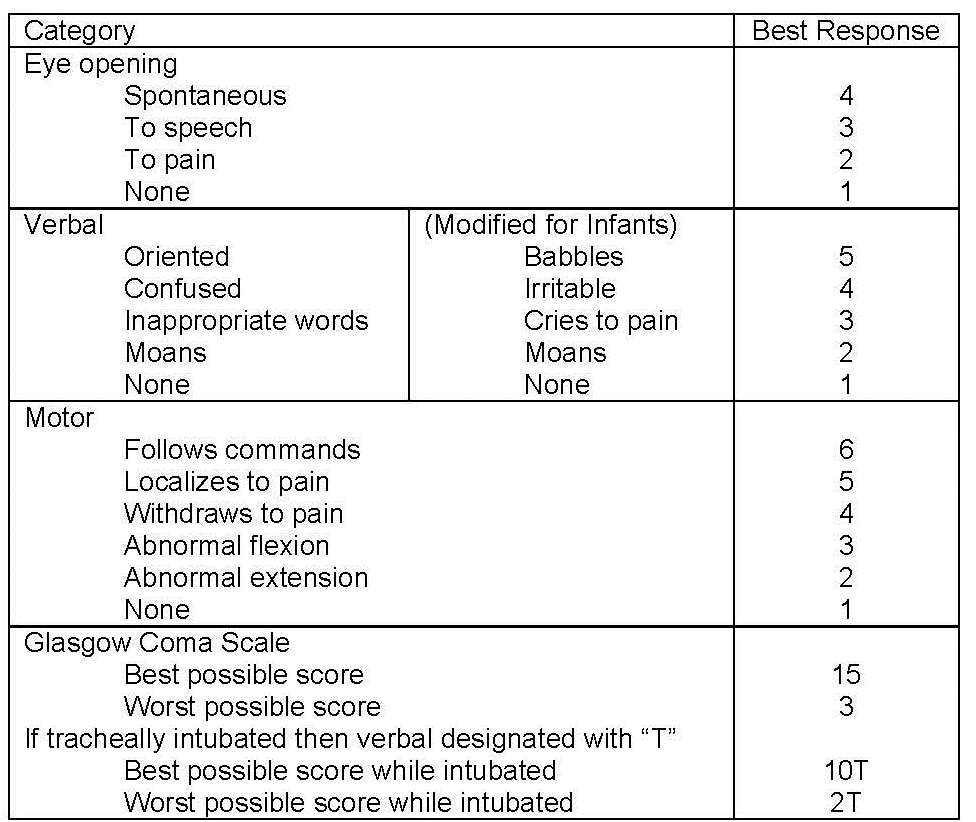 Brain Stem Stroke Coma