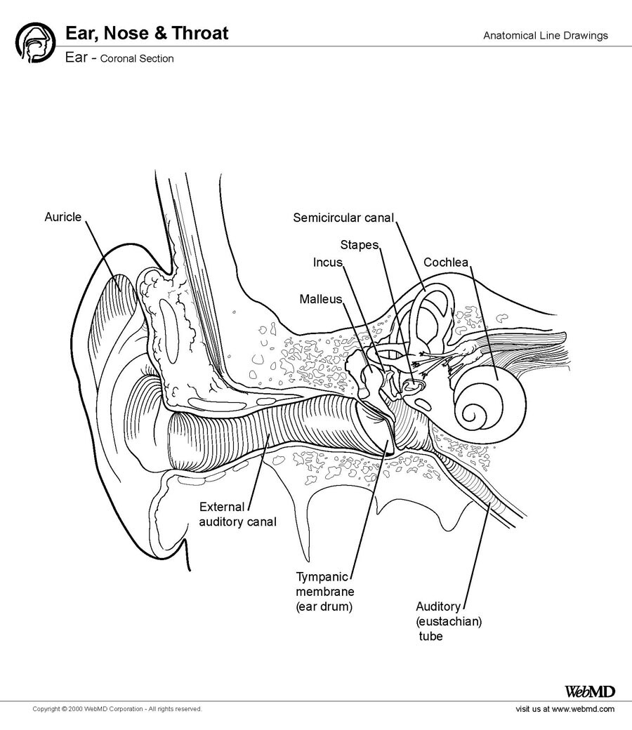 Brain Tumor Causes Vertigo