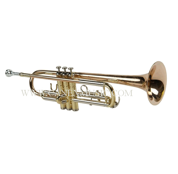 Brass Musical Instruments List