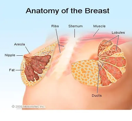 Breast Cancer Lump Photos