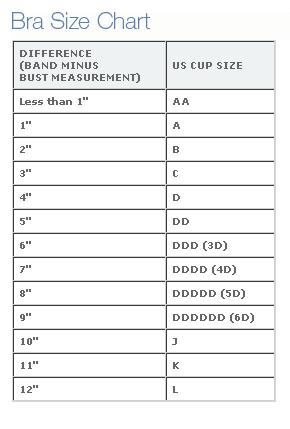 Breast Size Cup B