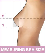 Breast Size Photos