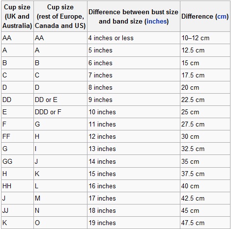 Breast Size Photos