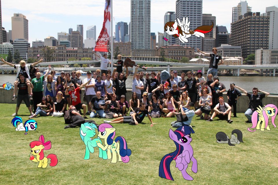 Brony Meetups