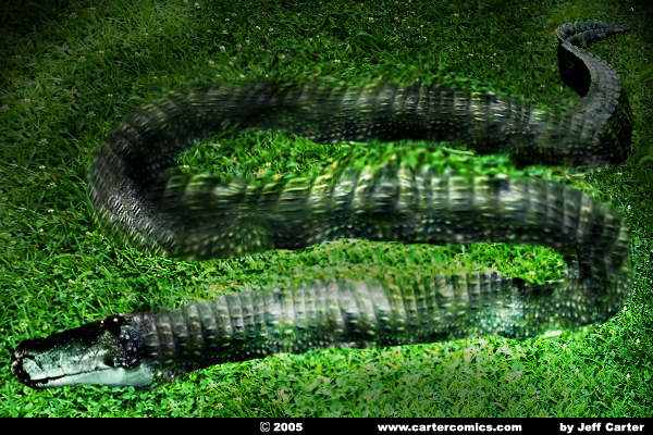 Burmese Python Eats Alligator