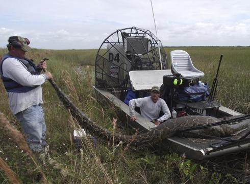 Burmese Pythons In Florida Map