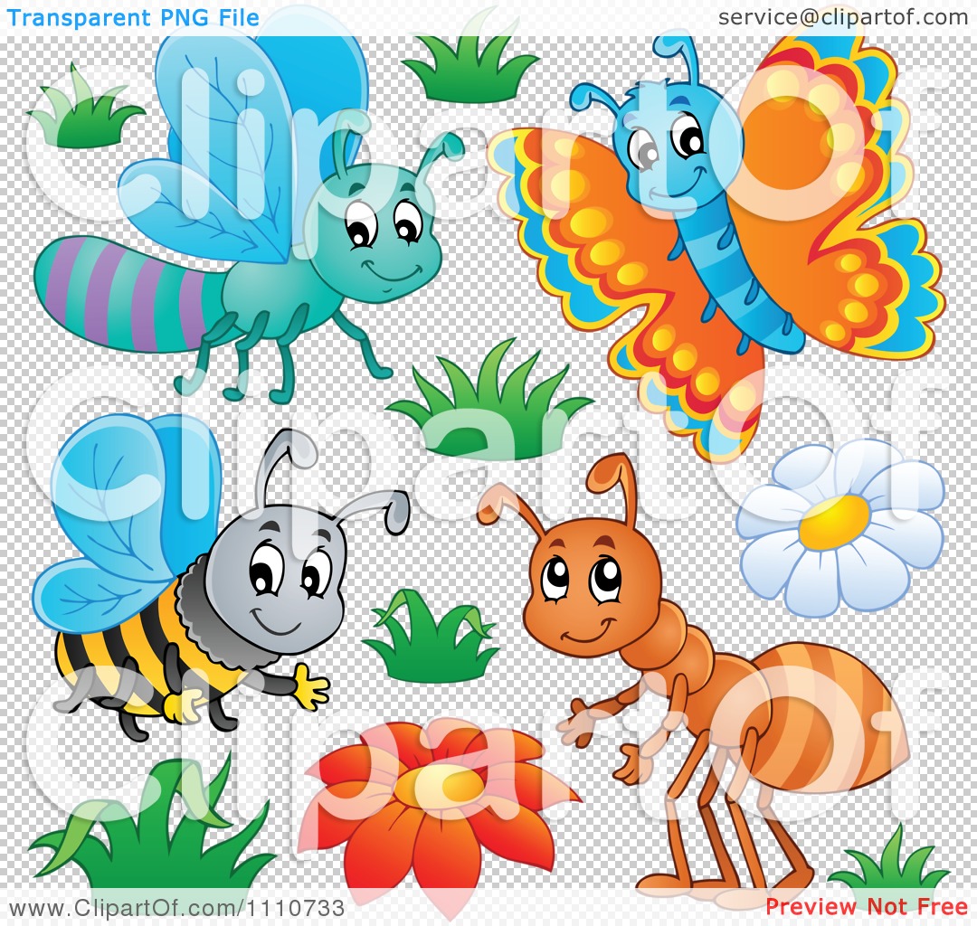 Butterfly And Dragonfly Clipart