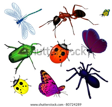 Butterfly And Dragonfly Clipart