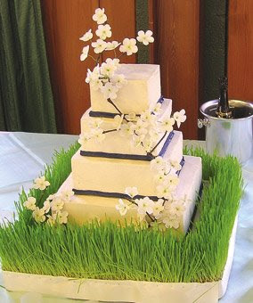 Cake Designs